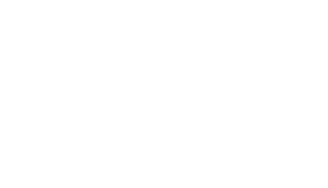 logo white